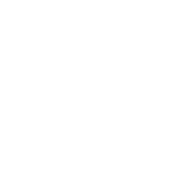 Gem2Go